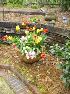 SANYO DIGITAL CAMERA